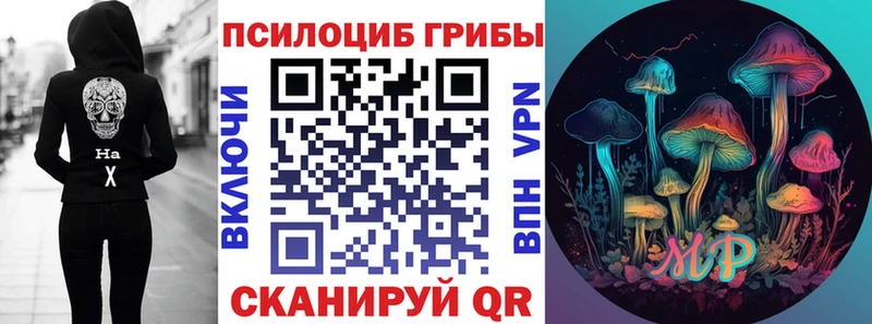наркошоп Чайковский Галлюциногенные грибы Cubensis